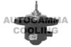 AUTOGAMMA GA38001 Interior Blower